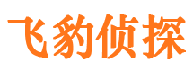 芦溪外遇出轨调查取证